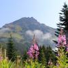 Cheam Peak