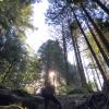 Crystal Falls
