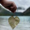 Kinney lake