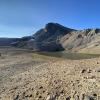 Sheba Ridge MR