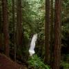 Cypress falls