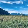 Pitt Addington wildlife preserve