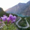 Seton Lake Lookout
