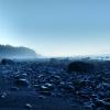 Juan de Fuca Trail
