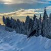 Dog Mountain