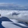 Mount Seymour Trail