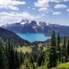 Black Tusk Trail