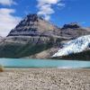 Berg Lake Trail