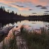 Lodwick Lake
