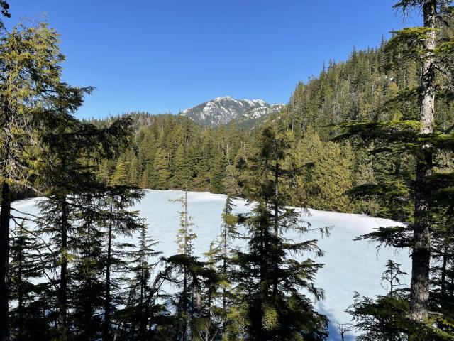 Petgill Lake Trail