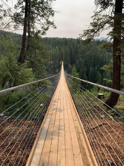 Golden Skybridge