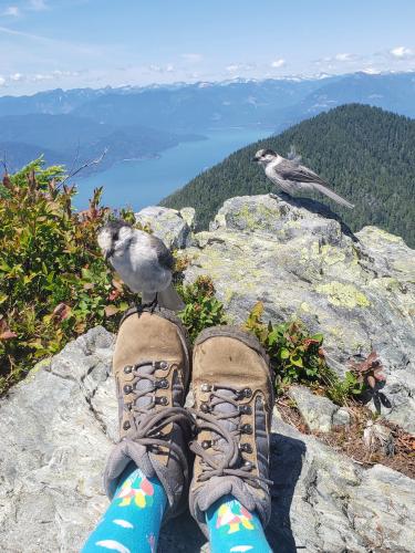 Howe Sound Crest Trail