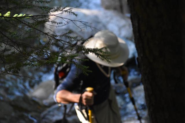 Lynn Valley