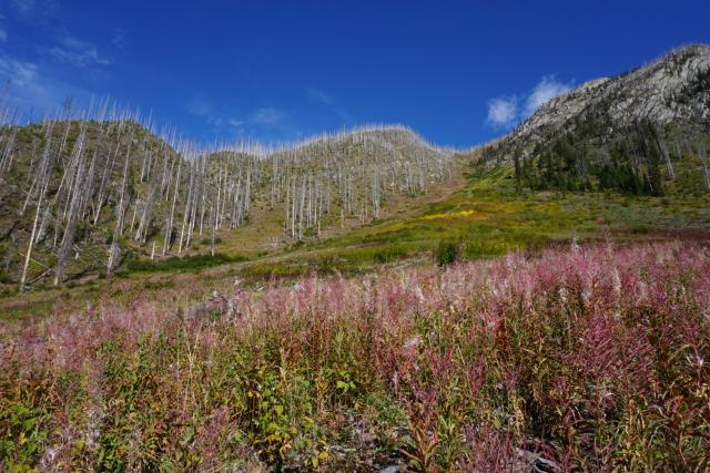 Rockwall Trail