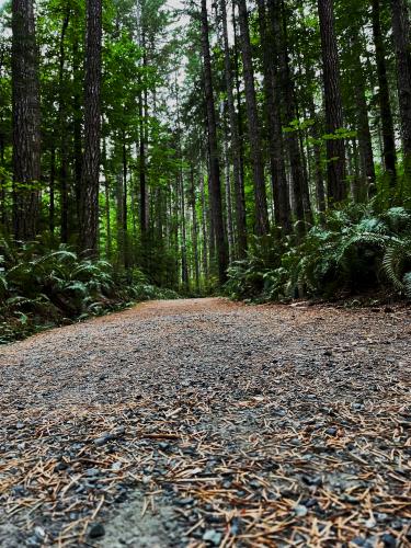Seal Bay Loop