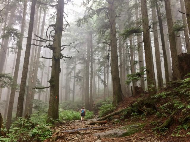 Brothers Creek Loop