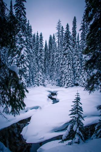 Lightning Lake Trail