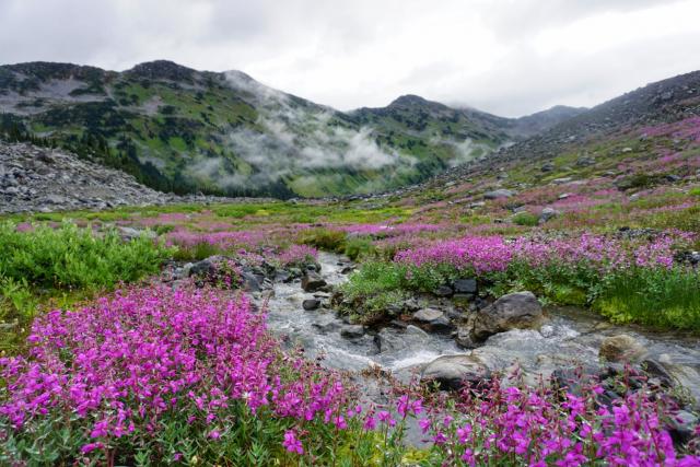 Marriott Basin