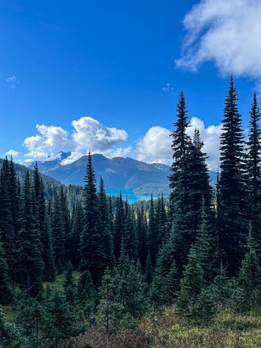 Panorama Ridge