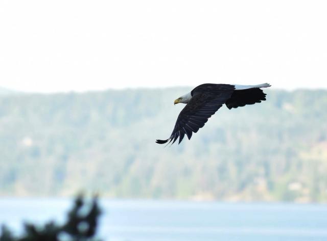 Galiano Island Parks