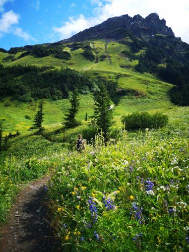 Mt. Cheam