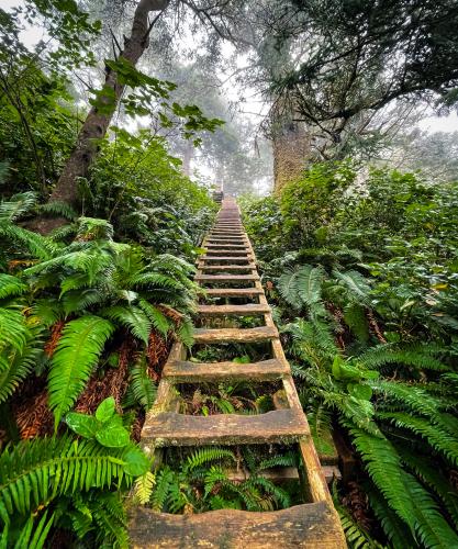 The West Coast Trail