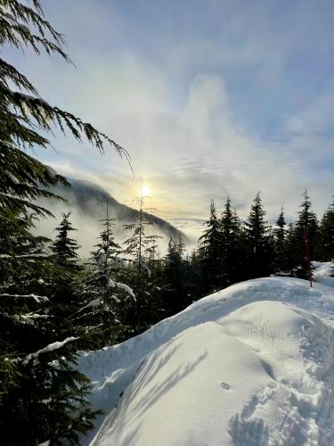 Bowen Lookout Snowshoe At Cypress Provincial Park