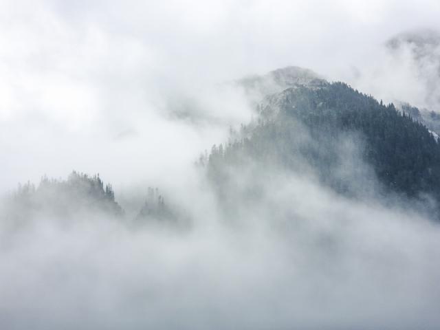 Unnamed Trail