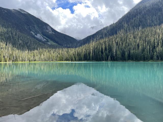 Calm Reflections