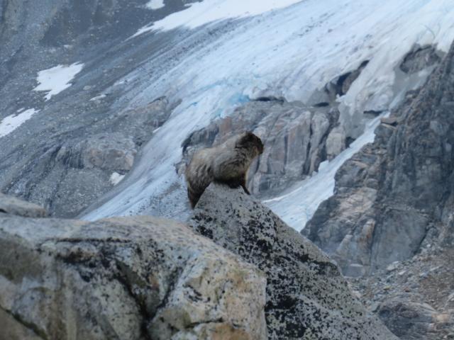 Wedgemount Lake