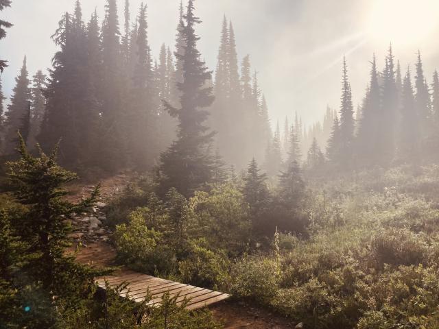 Garibaldi Lake Trail