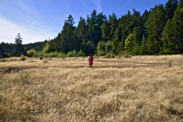 East Sooke Aylard Farm