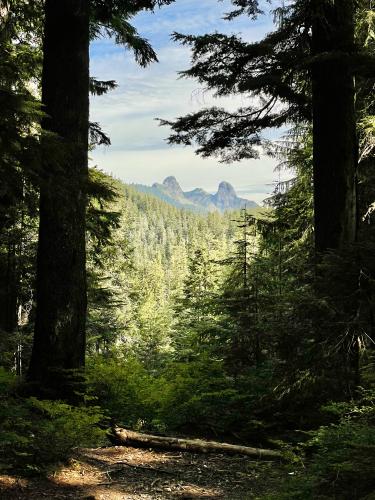 St Marks Summit