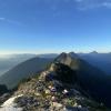 Golden ears