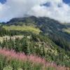 Mount Cheam