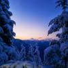 Elk Mountain