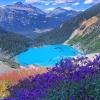 Joffre lakes