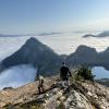 Mount Macfarlane