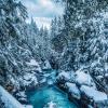 Kimbol Lake Trail