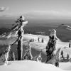 Pump Peak trail