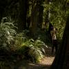 Buntzen Lake Trail