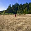 East Sooke Aylard Farm