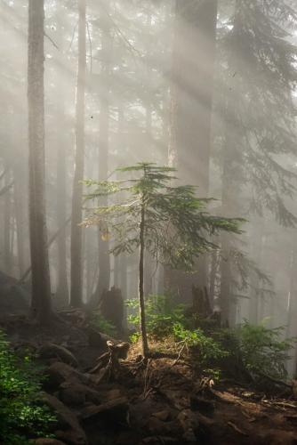 Howe Sound Crest Trail