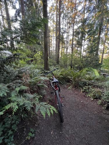 Salt Spring Island