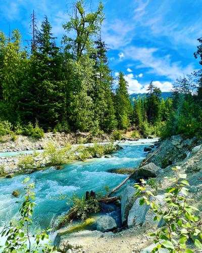 Valley Trail
