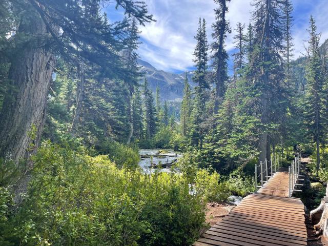 Joffre Lakes Provincial Park