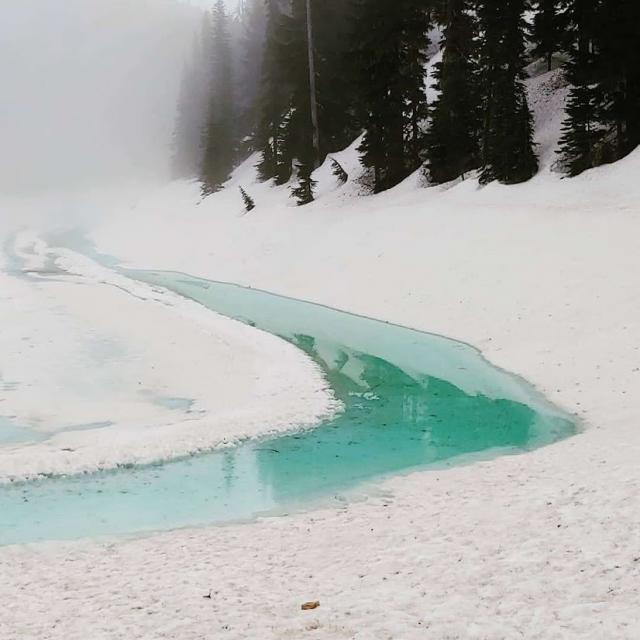 Garibaldi Lake Trail