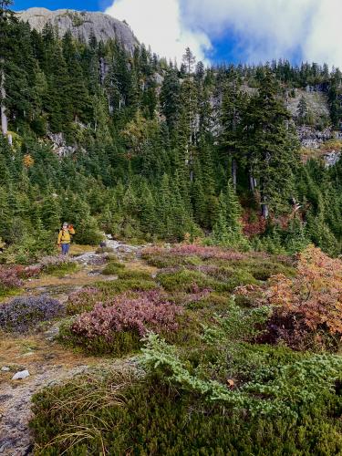 Mount Seymour