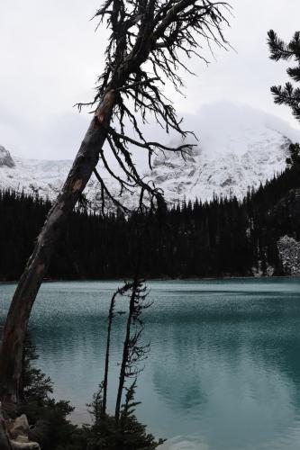Joffre Lakes
