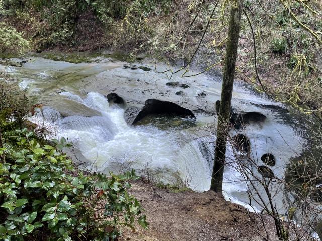 Kanaka Creek Regional Park
